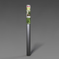 Tulips - Thumbnail View 1