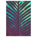 Hypnotized - Thumbnail View 1