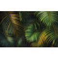 Amazon Fern - Thumbnail View 1