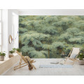 Jungle Lands - Thumbnail View 1