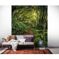 The Path - Thumbnail View 1