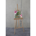 Hibiscus Flirt - Thumbnail View 1
