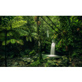 My Hidden Treasure - Thumbnail View 1