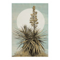 Florasia - Thumbnail View 1