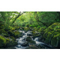 Green Tales - Thumbnail View 1