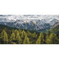 Wild Dolomites