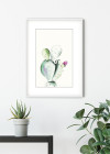 Prickly Pear Watercolor