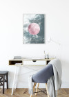 Solum Aqua