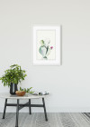 Prickly Pear Watercolor