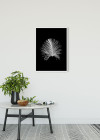 Feather Black