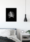 Feather Black