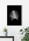 Feather Black