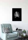 Feather Black