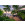 Hawaiian Dreams  - Thumbnail View 1