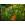 Jungle Trail - Thumbnail View 1