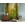 Redwood - Thumbnail View 1