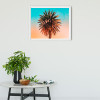 Palm Tree - View 1