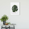 Monstera Leaf - View 1