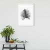 Feather White - View 1