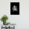 Feather Black - View 1