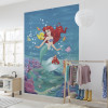 Ariel Singing - View 1
