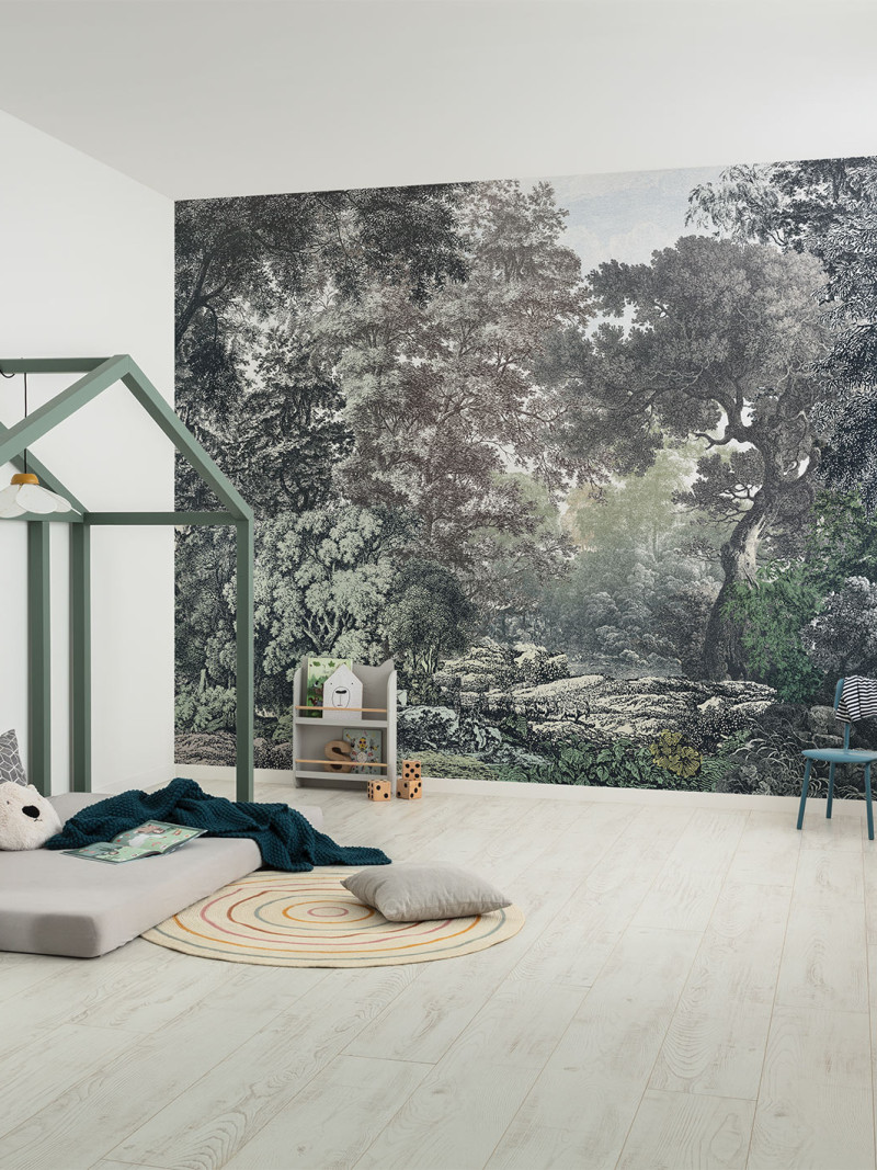 Wood Wide Web - View 1