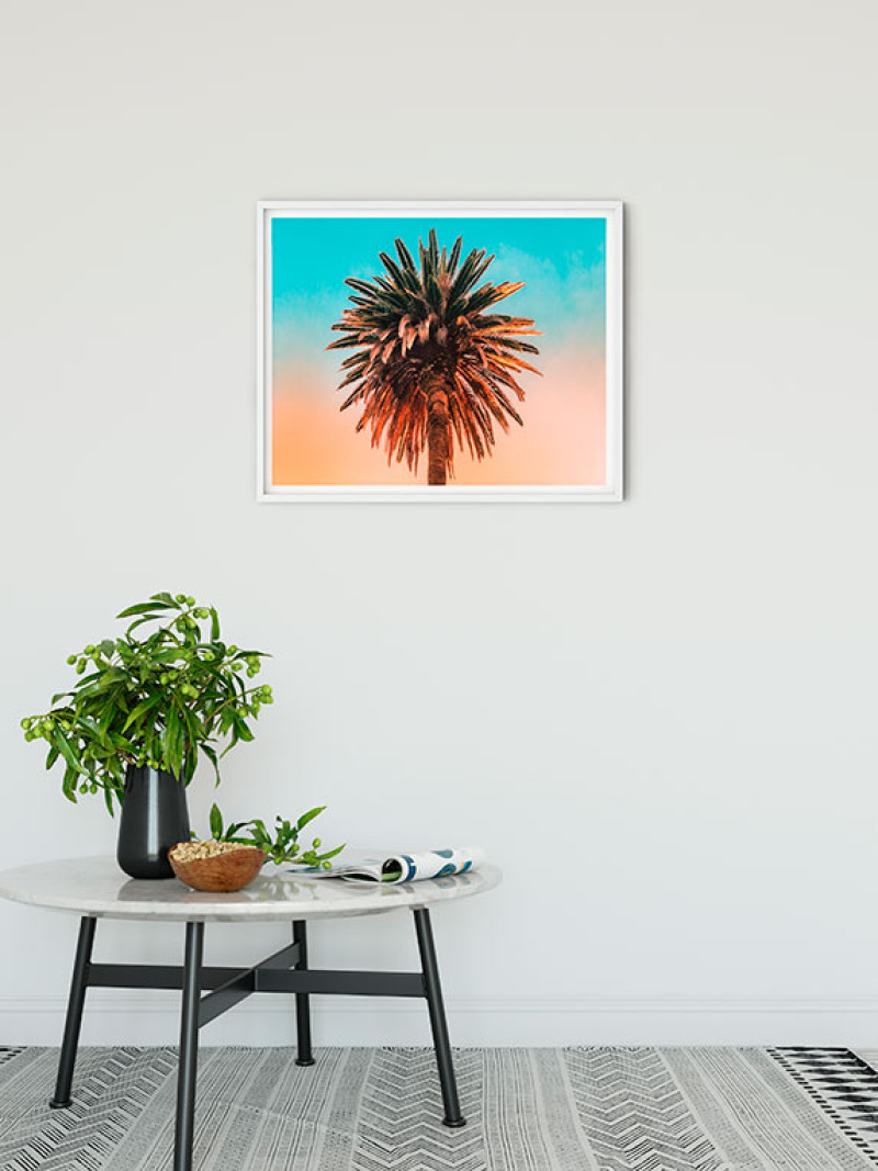 Palm Tree - View 1