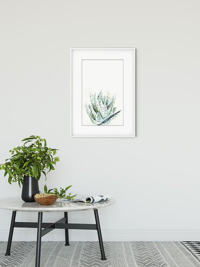 Aloe Watercolor - View 1