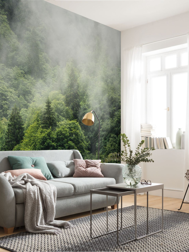 Forest Land - View 1