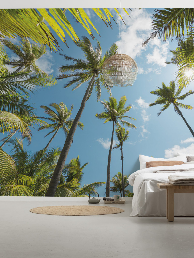 Coconut Heaven  - View 1