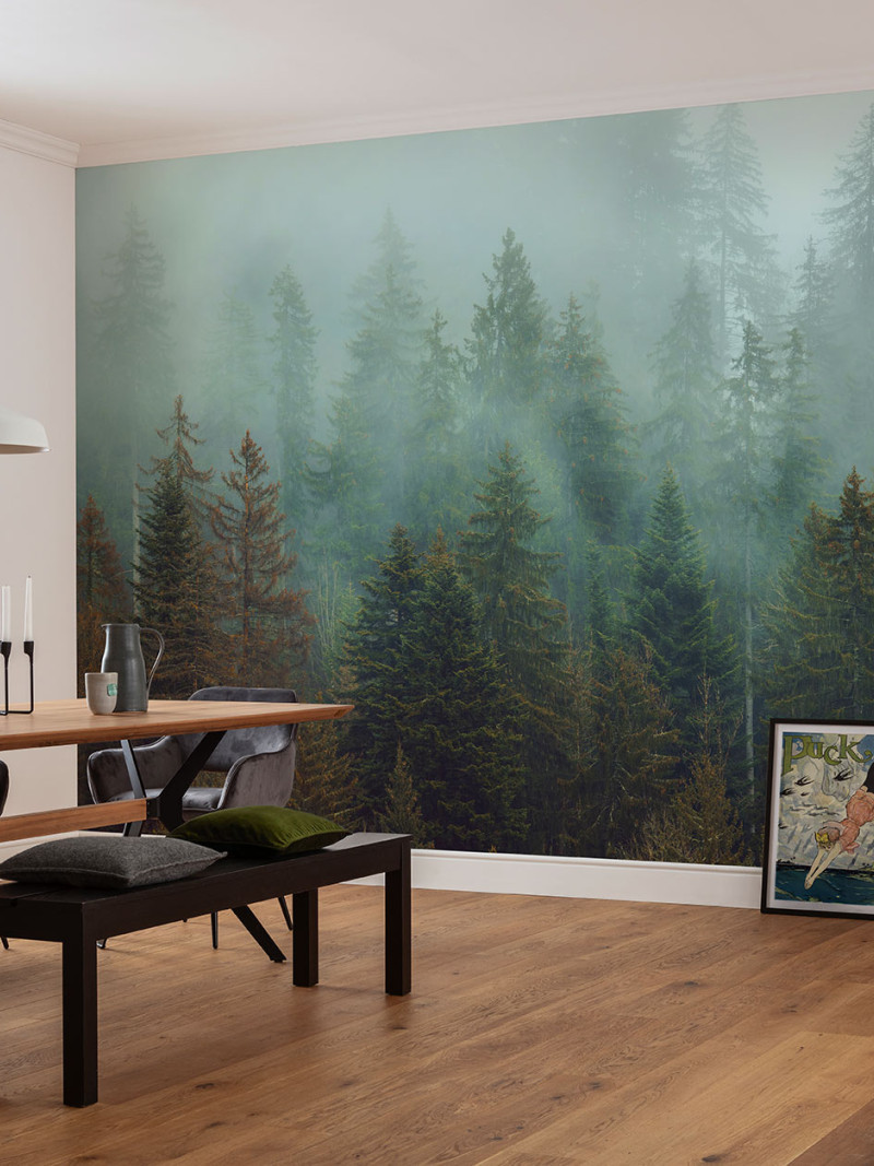 Foggy Firs - View 1