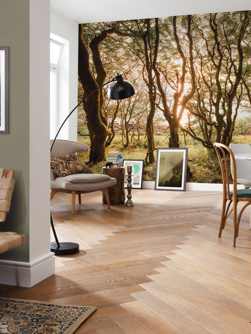 Bold Birch - View 1