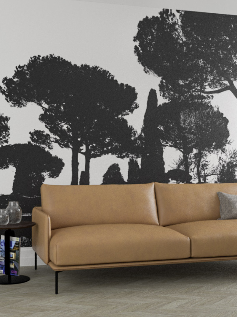 Pine Trees black-white - View 1