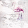 Wild Flamingo III
