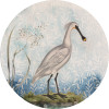 Spoonbill - Thumbnail View 1