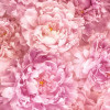 Dahlia - Slider Item - View 1