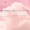 Cloud Wire - Thumbnail View 1