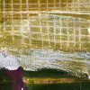 Sheets Drying cognac - Thumbnail View 1