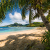 Palmy Beach - Slider Item - View 1