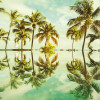 Miami - Slider Item - View 1