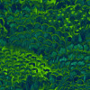 Foliage - Slider Item - View 1