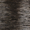 Birkenrinde - Thumbnail View 1
