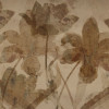 Petal Whispers - Thumbnail View 1