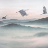 Mystic Cranes - Thumbnail View 1