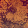 Harvest - Thumbnail View 1