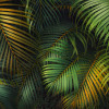 Tropical Wall - Slider Item - View 1