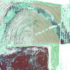 Gates Opening mint - Thumbnail View 1