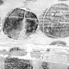 Rolls Rolling grey-white - Thumbnail View 1
