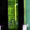 Traces Drizzling black-mint - Thumbnail View 1