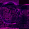 Lemon Peely black-pink - Thumbnail View 1